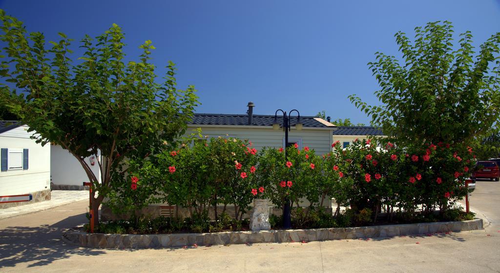 Camping Los Pinos Peñíscola エクステリア 写真