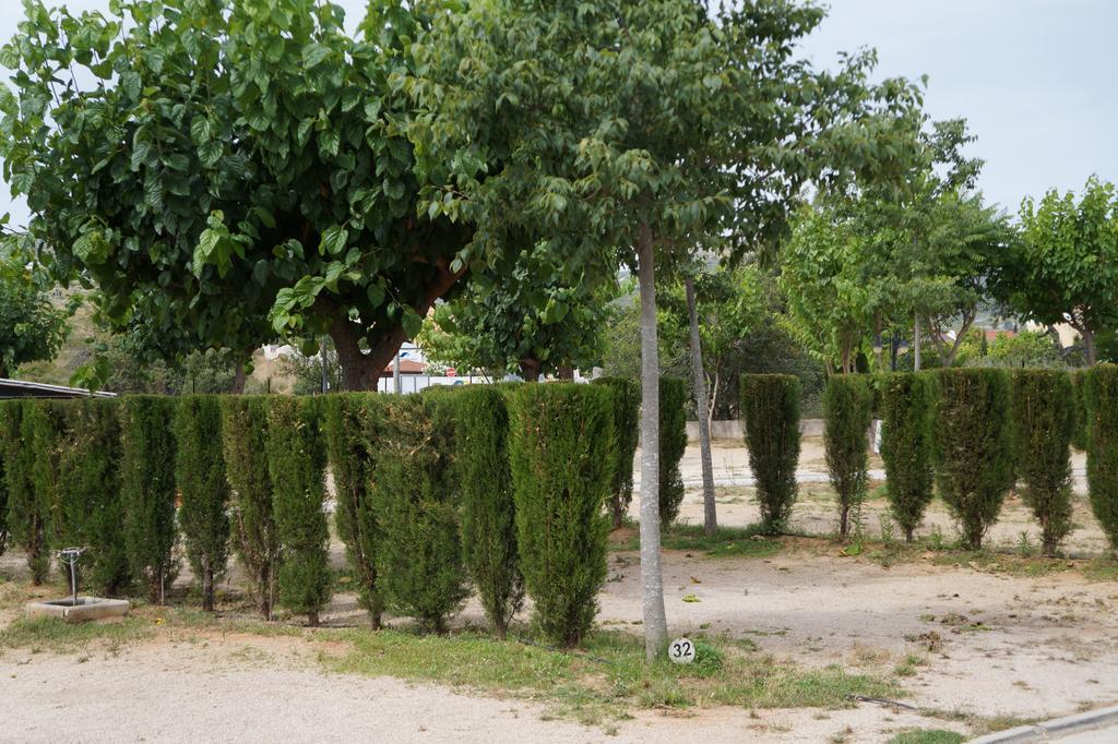 Camping Los Pinos Peñíscola エクステリア 写真